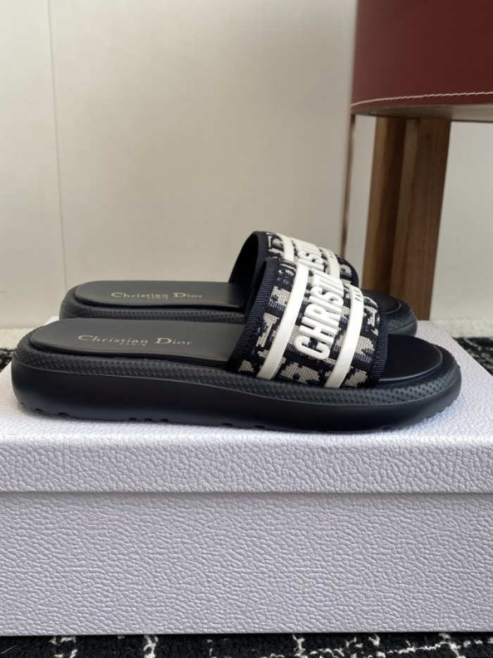 D10r slides ds-088