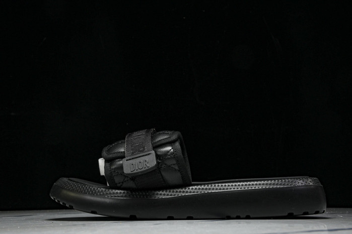 D10r slides ds-081
