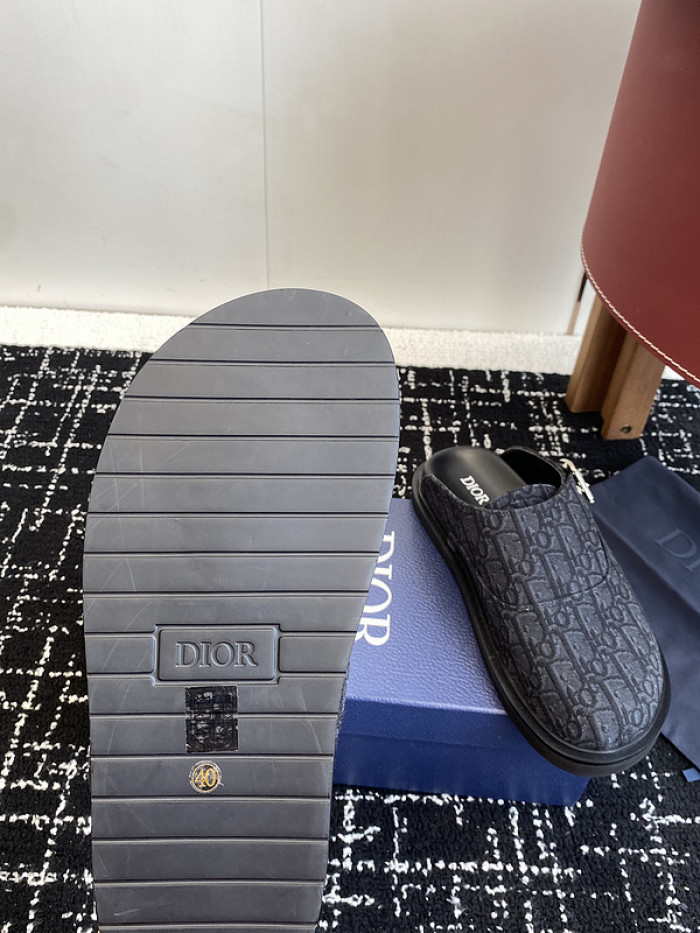 D10r slides ds-078