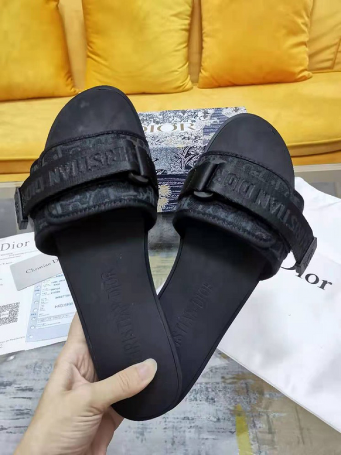 D10r slides ds-032