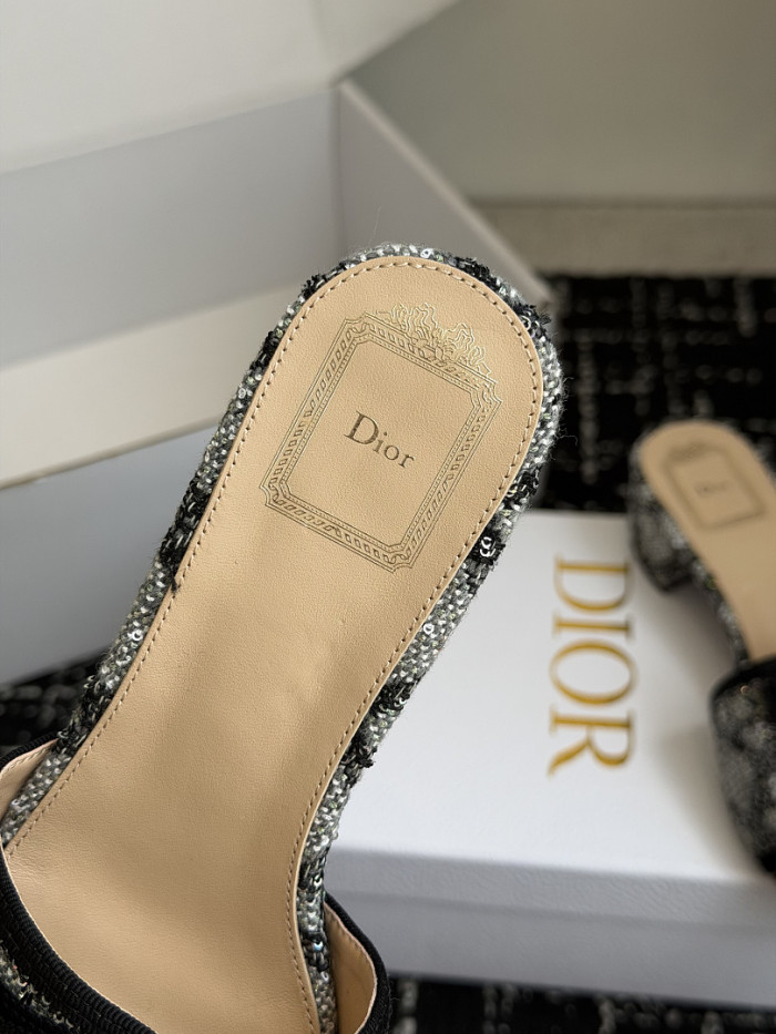 D10r SLIDES DS-0150