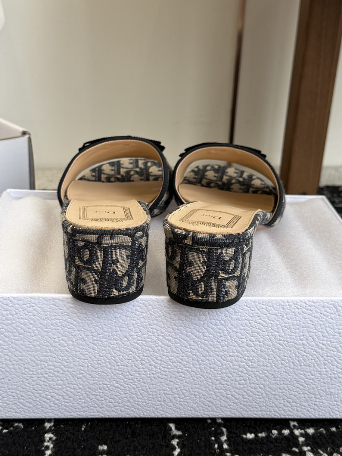 D10r SLIDES DS-0146