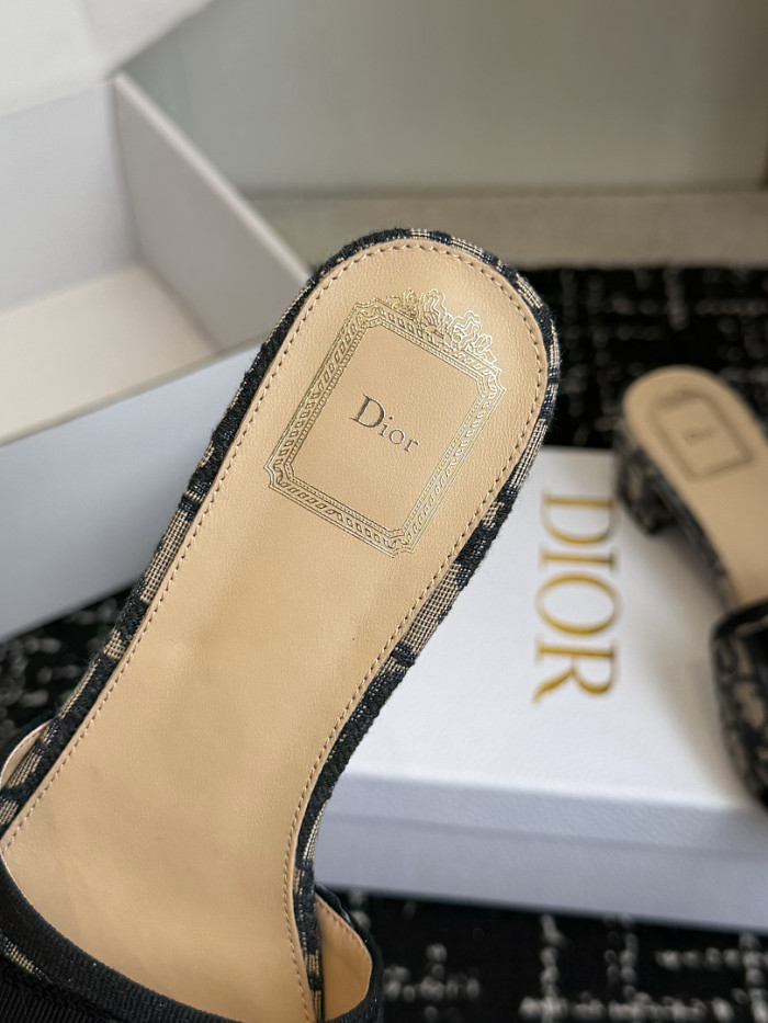 D10r SLIDES DS-0146