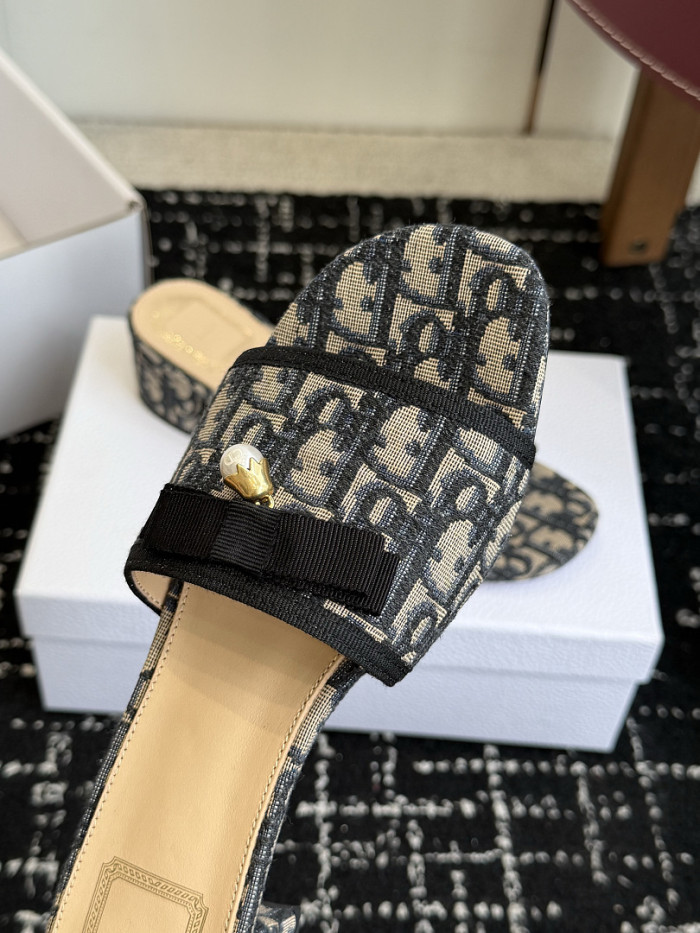 D10r SLIDES DS-0146
