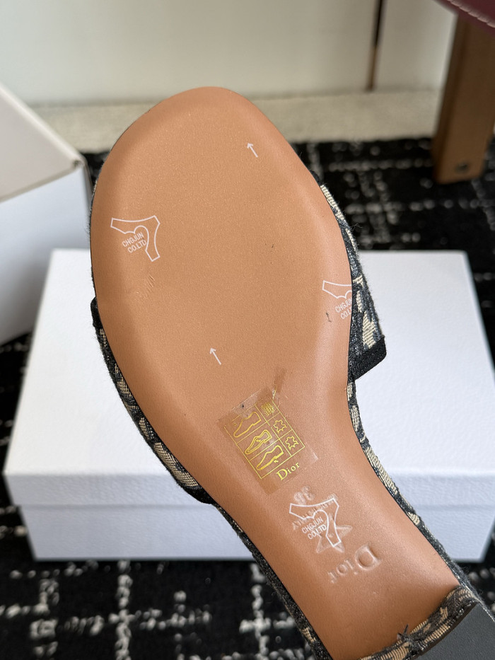 D10r SLIDES DS-0146