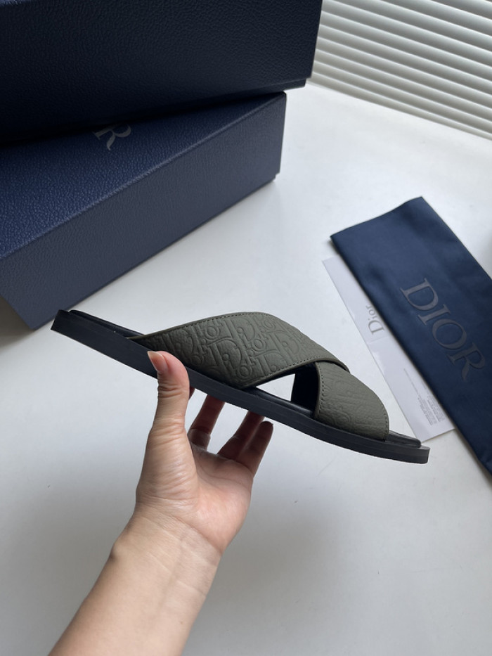 D10r slides ds-050