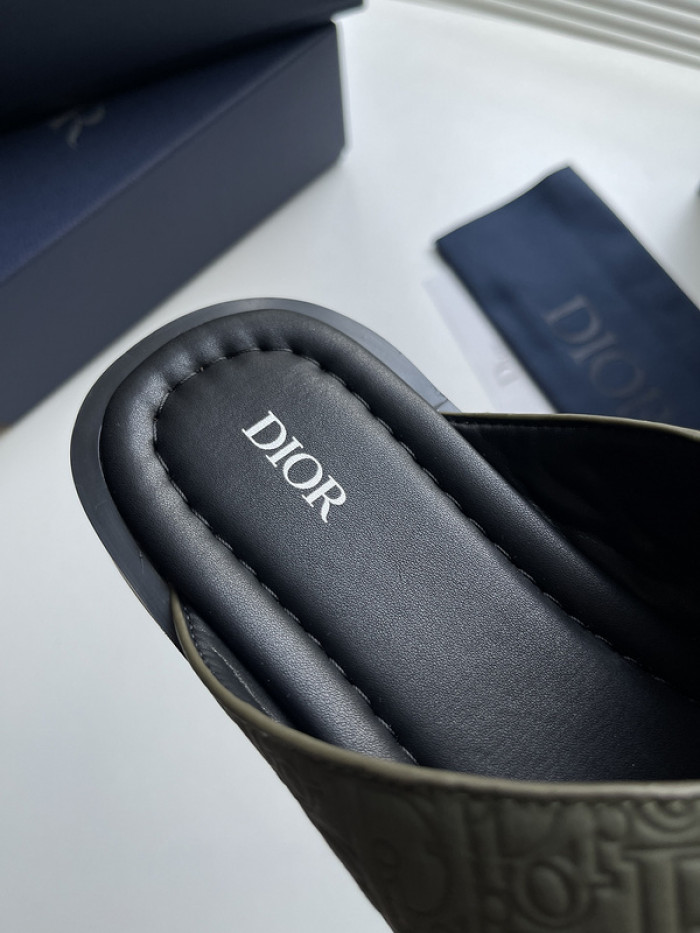 D10r slides ds-050