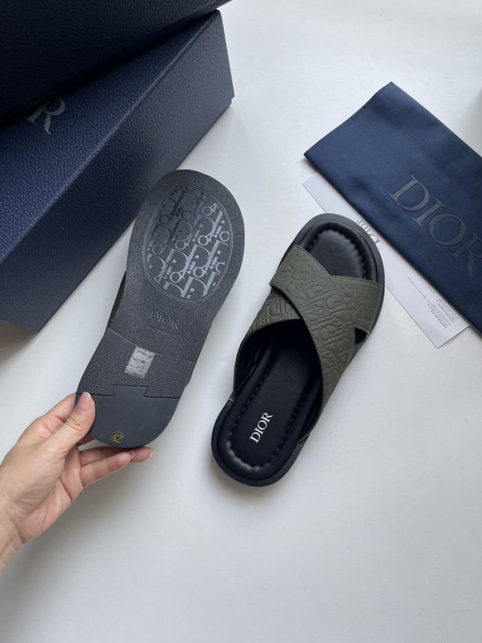 D10r slides ds-050