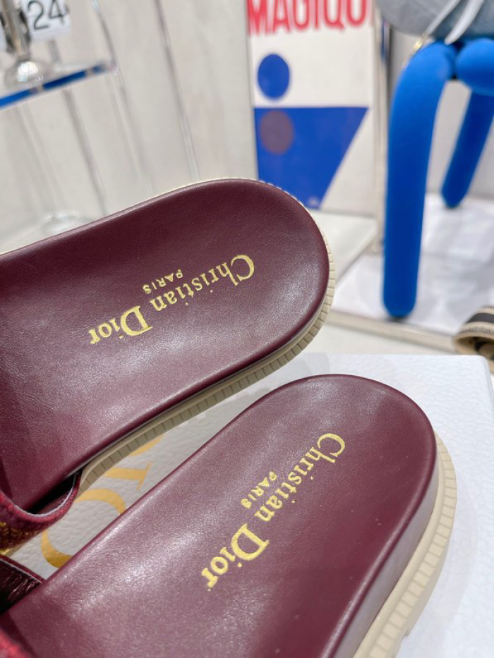 D10r slides ds-017