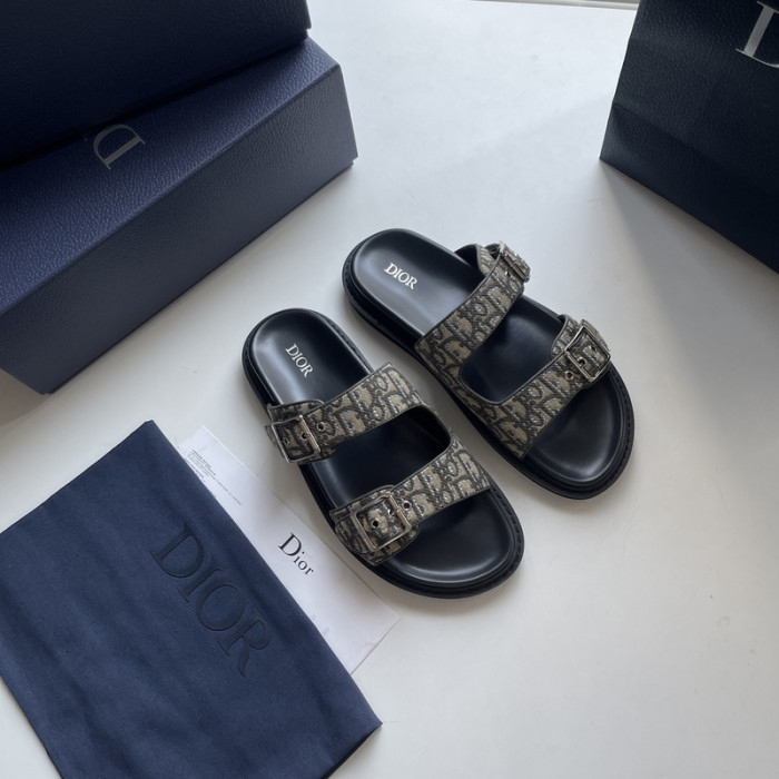 D10r slides ds-051