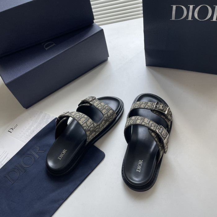 D10r slides ds-051