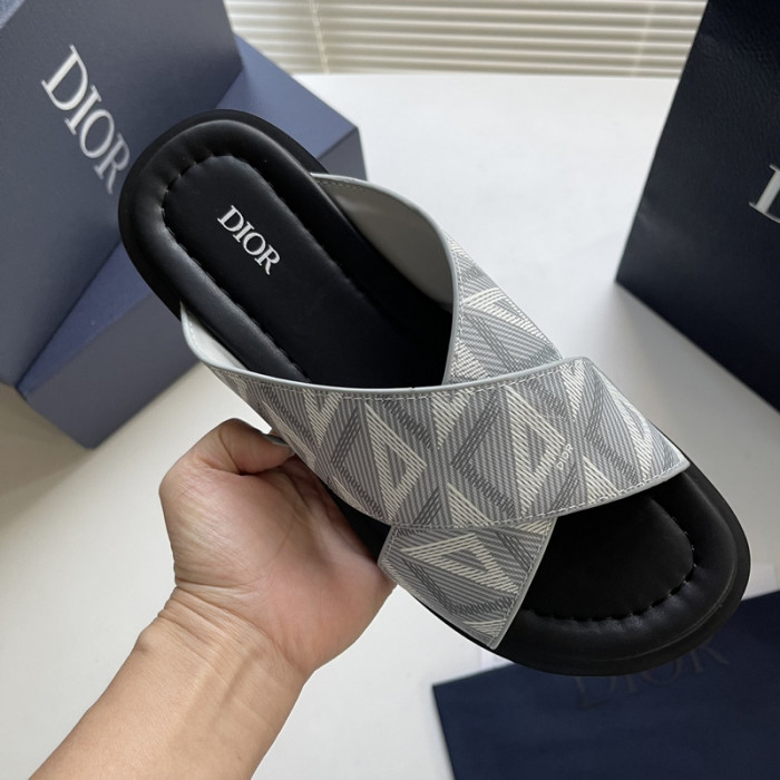 D10r slides ds-042