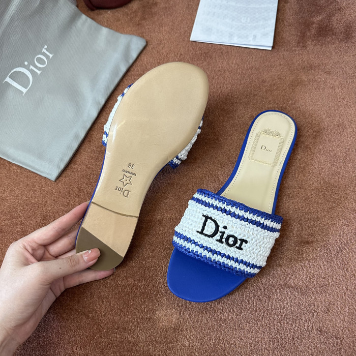 D10r SLIDES DS-0131