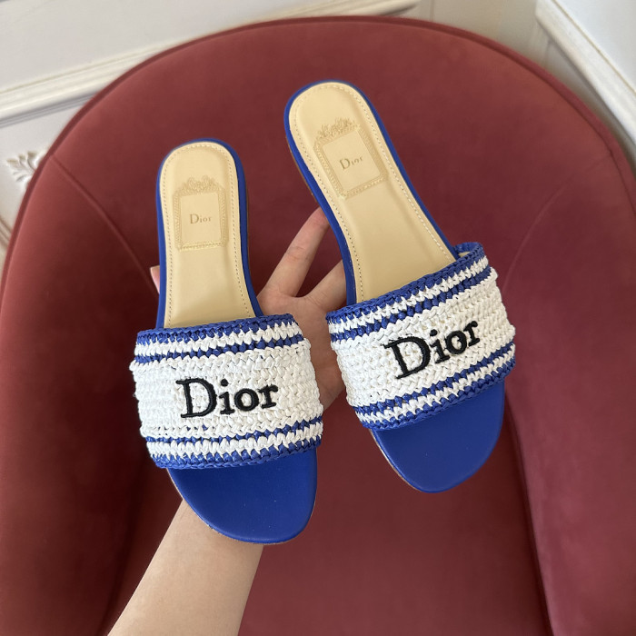 D10r SLIDES DS-0131