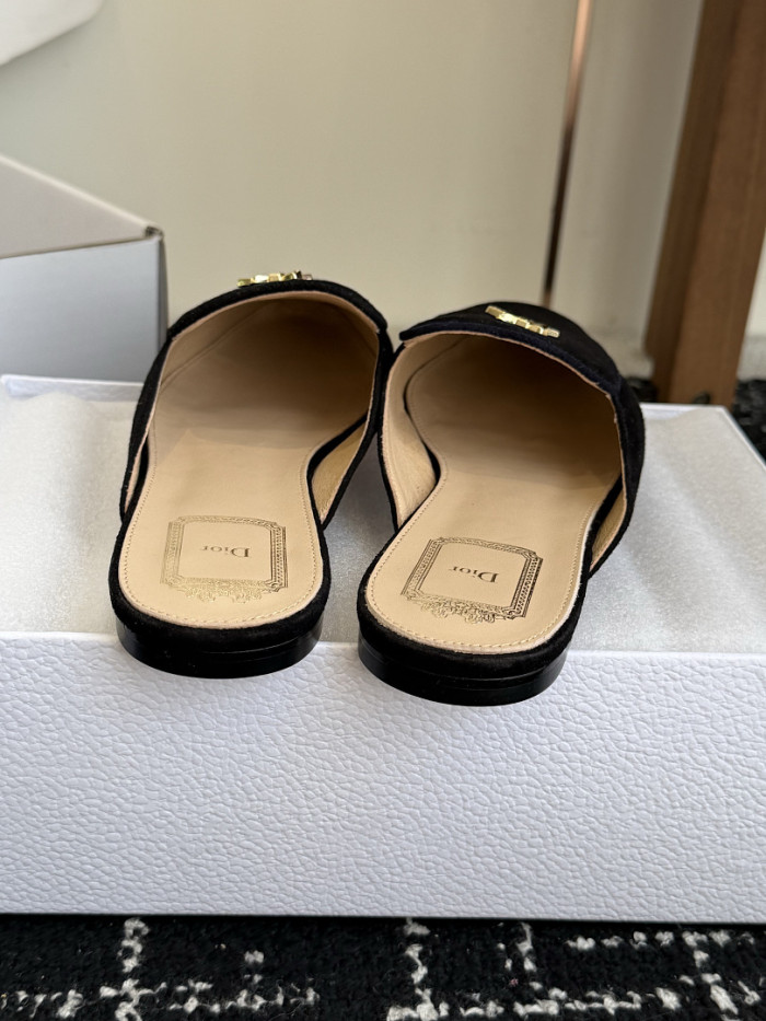 D10r SLIDES DS-0139