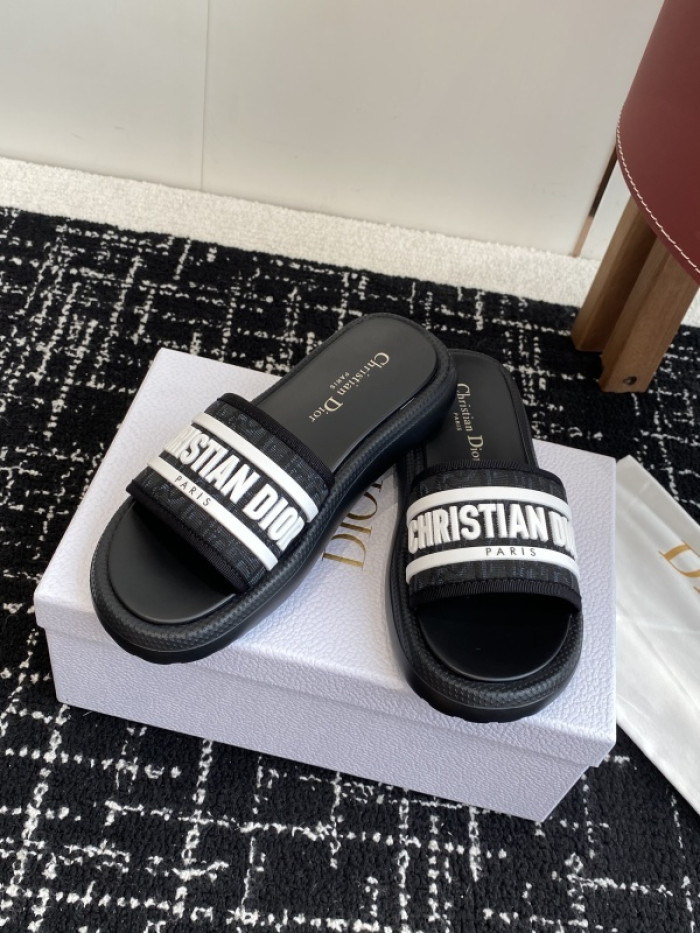 D10r slides ds-086