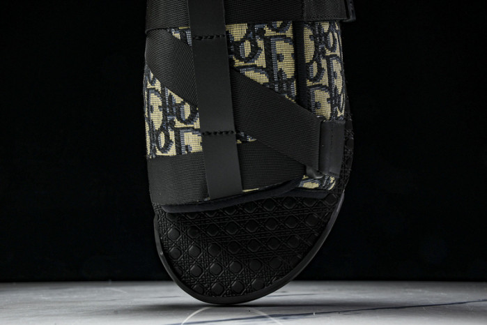 D10r slides ds-063