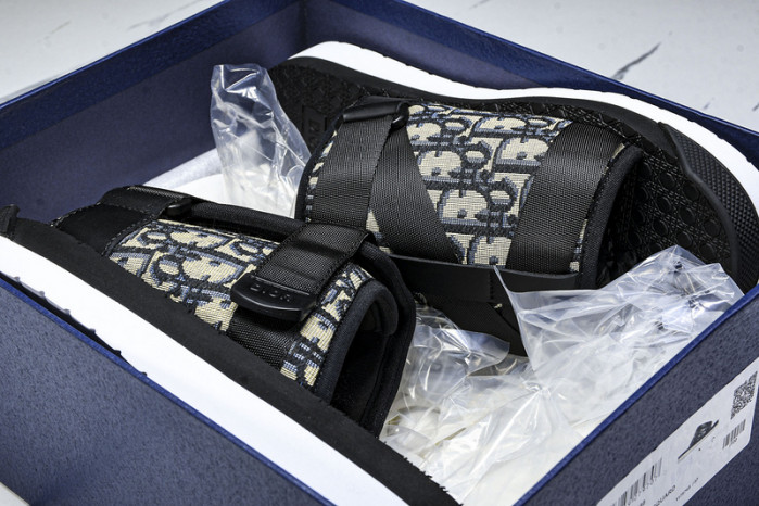 D10r slides ds-063