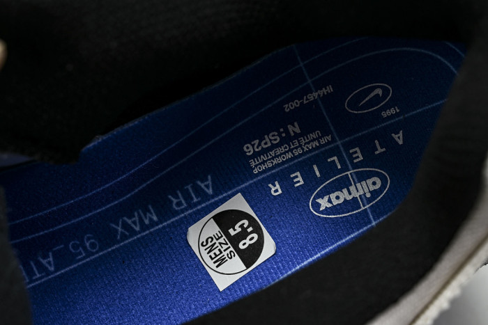 Nike Air Max 95 IQ0284-010
