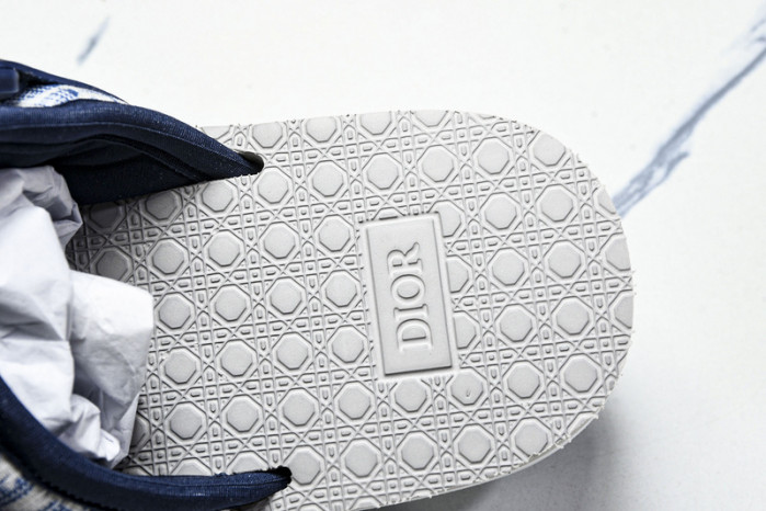 D10r slides ds-064