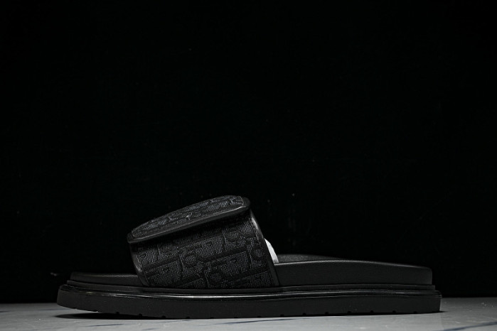 D10r SLIDES DS-094
