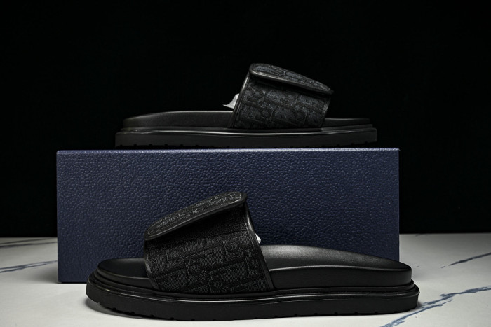 D10r SLIDES DS-094