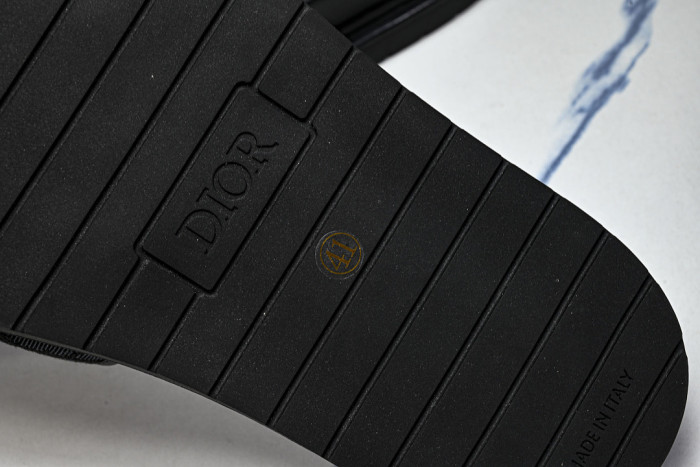D10r SLIDES DS-094