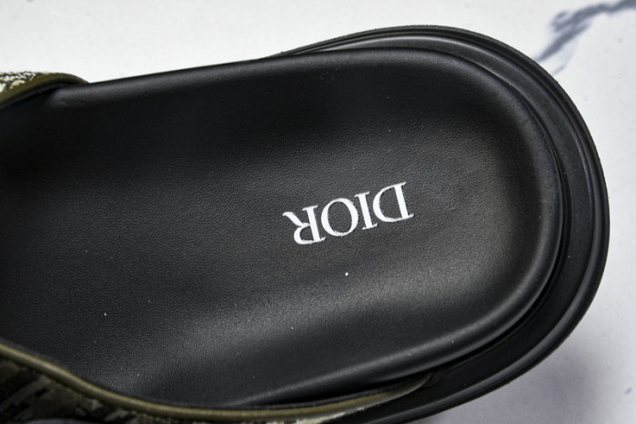 D10r slides ds-060