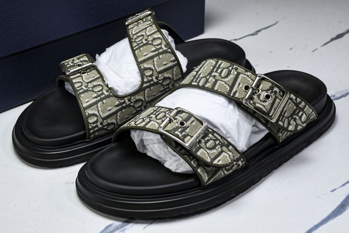 D10r slides ds-060