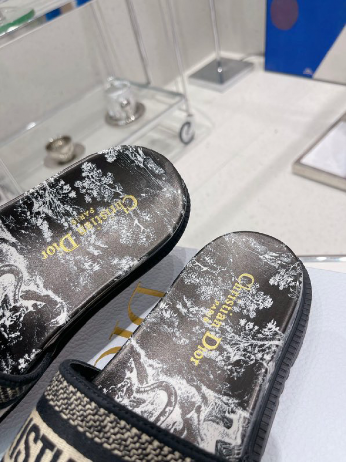 D10r slides ds-016