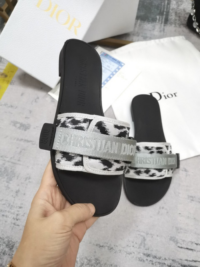 D10r slides ds-030