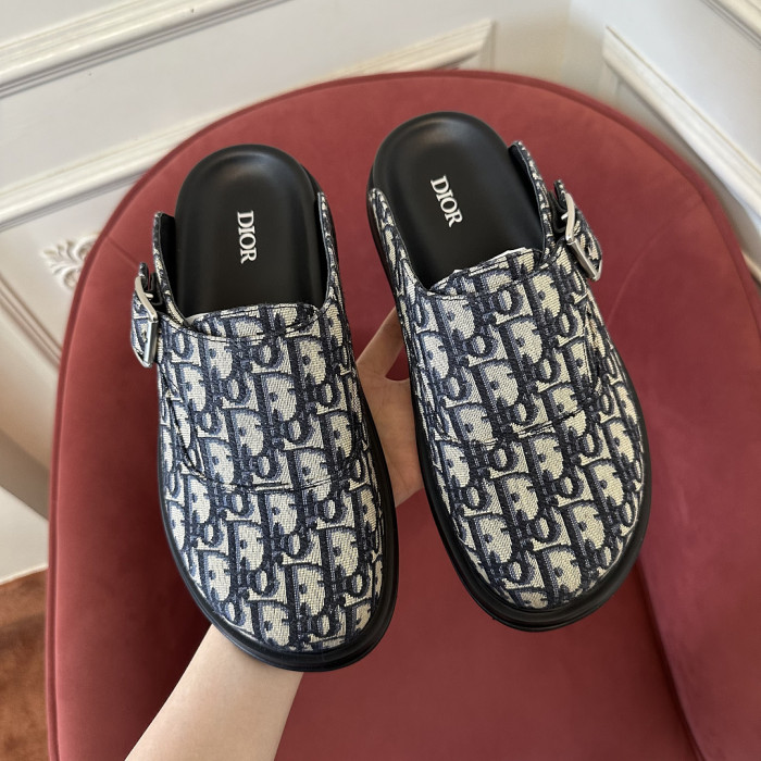D10r SLIDES DS-0162