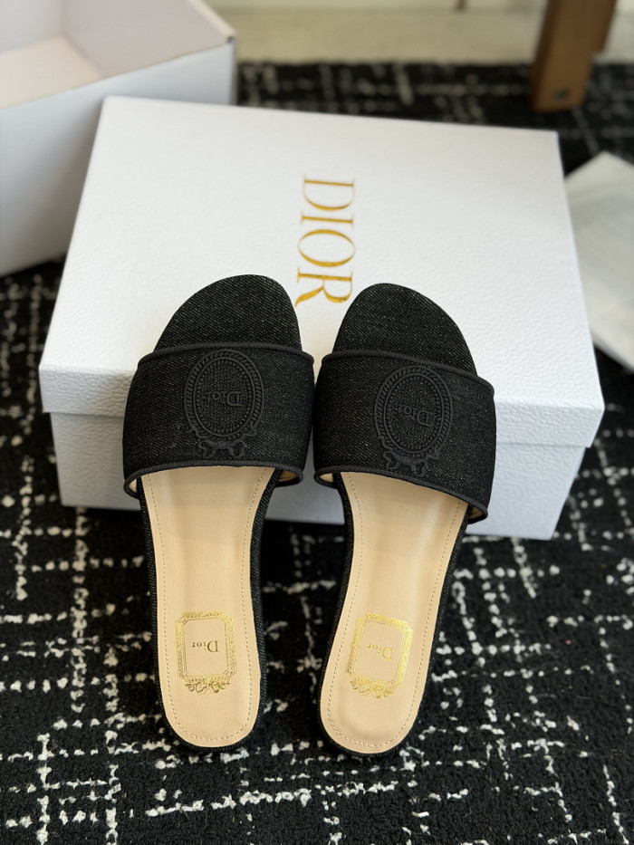 D10r SLIDES DS-0110