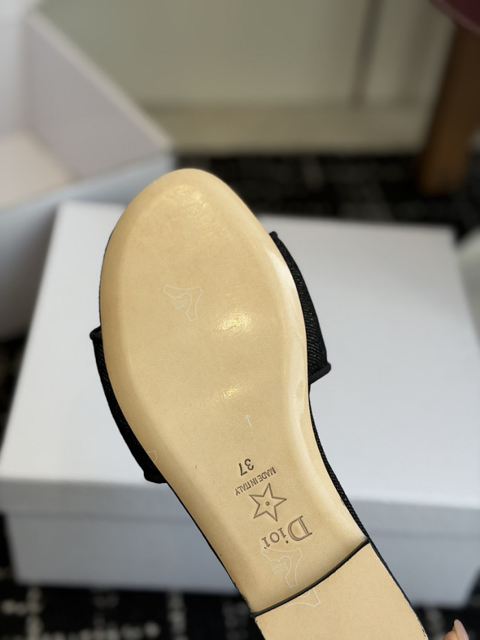 D10r SLIDES DS-0110