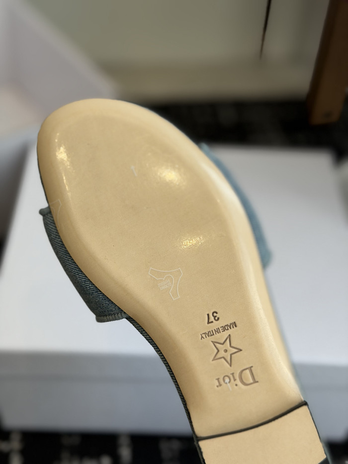 D10r SLIDES DS-0111