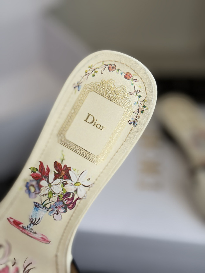 D10r SLIDES DS-0113