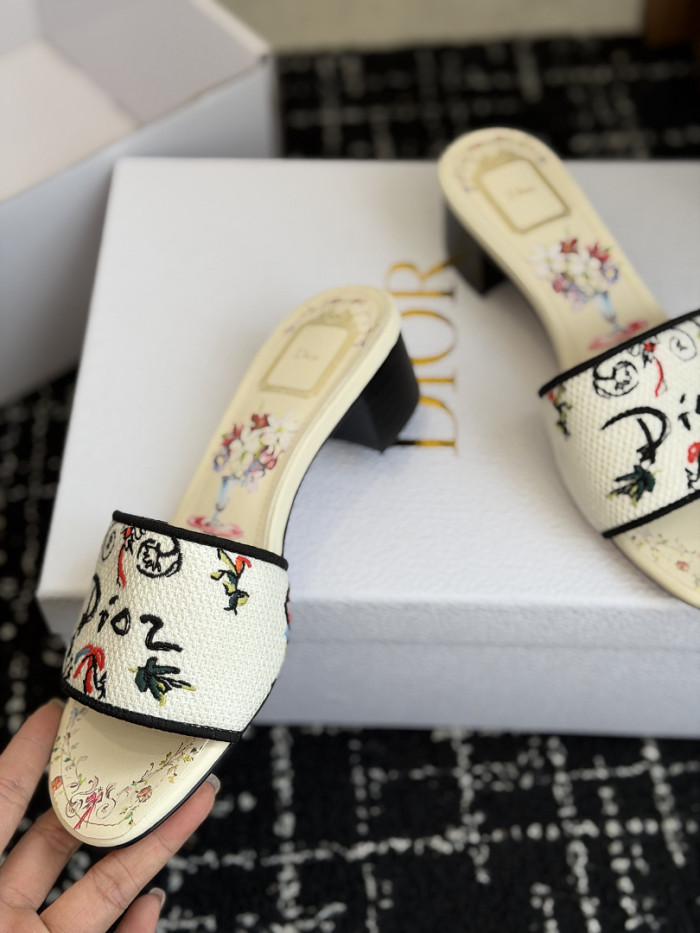 D10r SLIDES DS-0113
