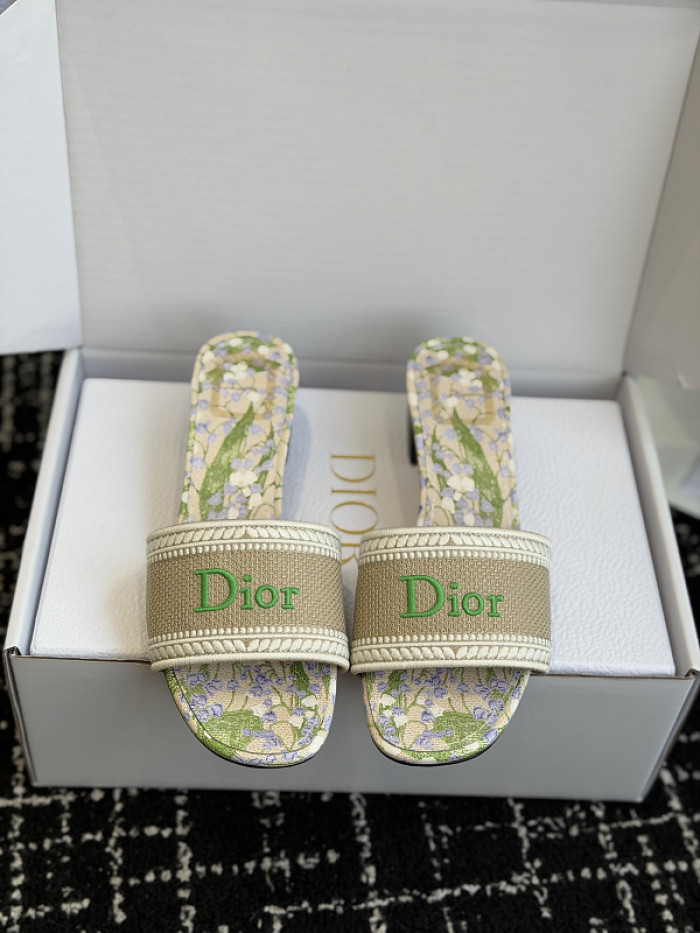 D10r SLIDES DS-0121