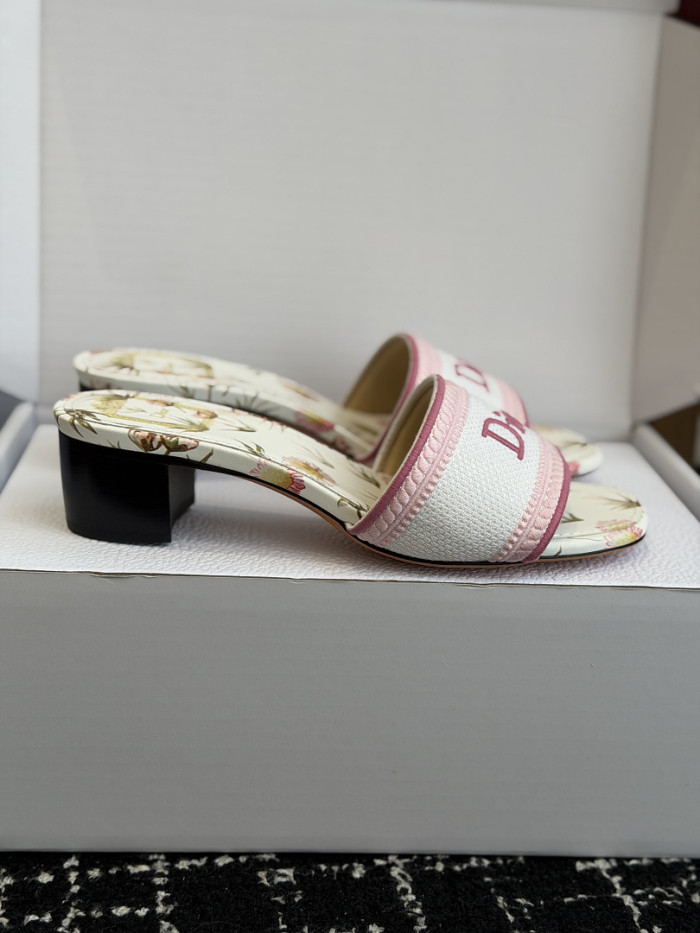 D10r SLIDES DS-0122