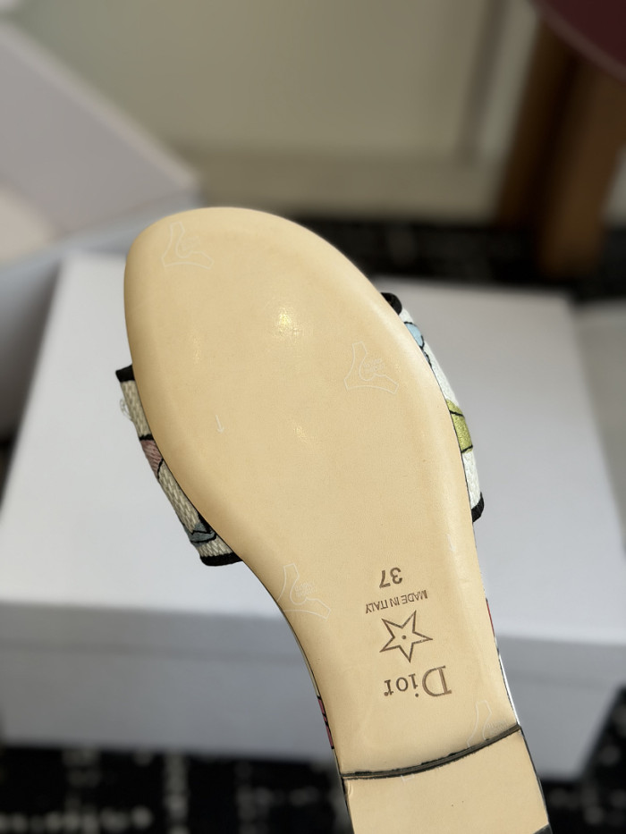 D10r SLIDES DS-0116