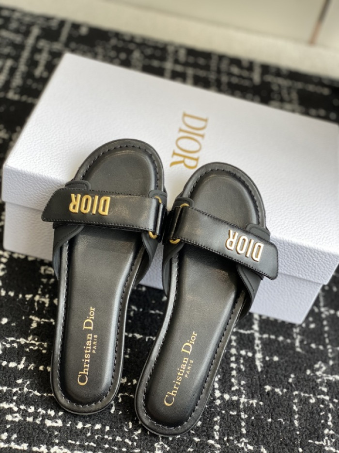 D10r slides ds-082