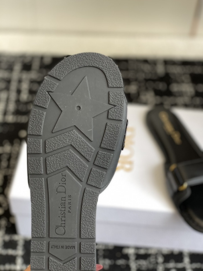 D10r slides ds-082