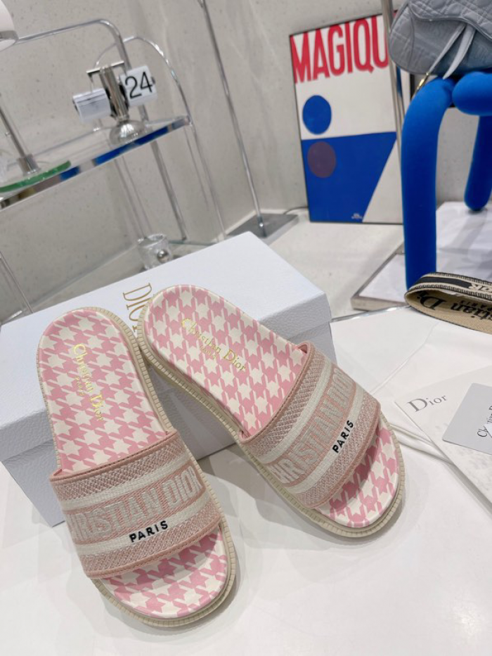 D10r slides ds-023
