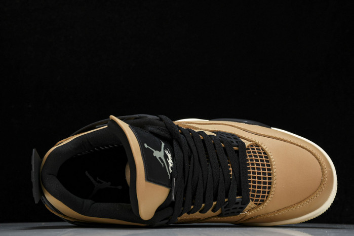Jordan 4 Retro Fossil (W) AQ9129-200