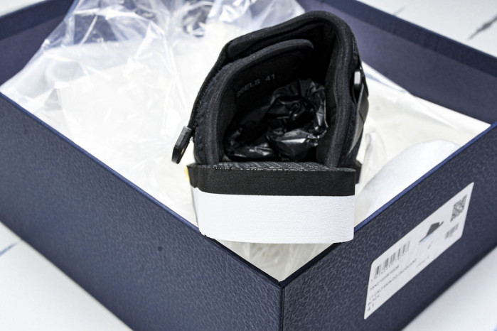 D10r slides ds-066