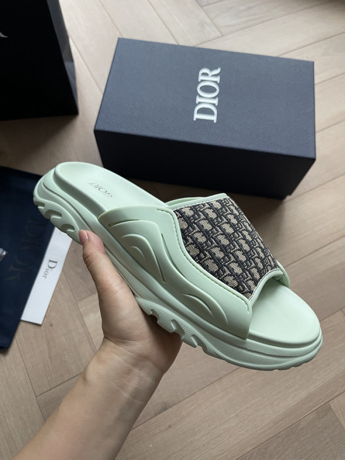 D10r slides ds-046