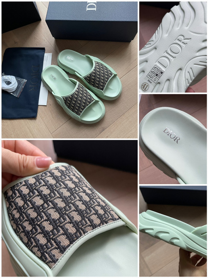 D10r slides ds-046