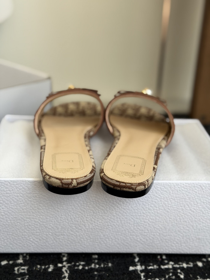D10r SLIDES DS-0144