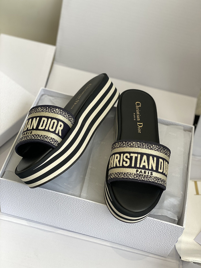 D10r slides ds-055