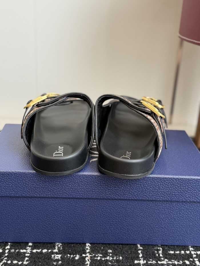 D10r SLIDES DS-0154